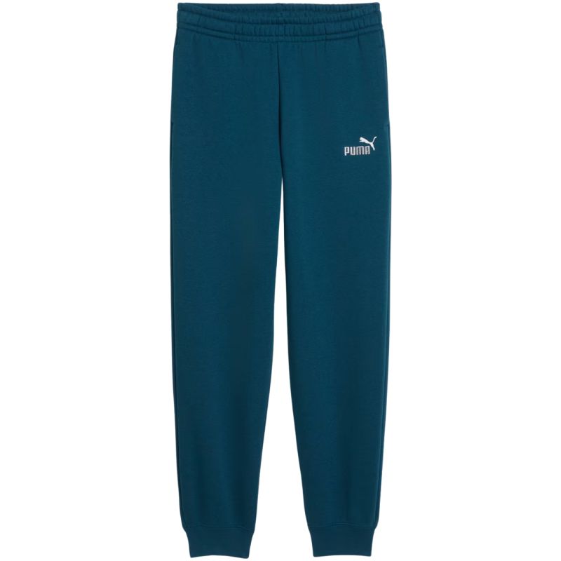 Puma ESS 2 Color No. 1 Logo Turquoise Kids' Pants 685824 36
