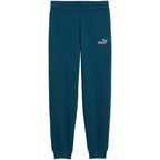 Puma ESS 2 Color No. 1 Logo Turquoise Kids' Pants 685824 36