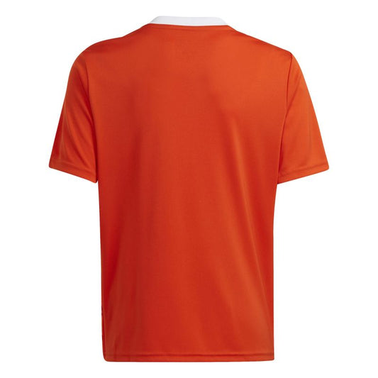Adidas Team Icon 23 Jr T-shirt IC1254 Clothing/Football Adidas