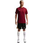 Nike Dri-Fit Park VIII Men's T-Shirt Burgundy HV8173 677 To be categorized Your Sports Performance