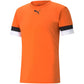 Puma teamRise Jersey M 704932 08 Clothing/Training Puma