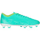 Puma Ultra Play FG/AG M 107224 03 football shoes Footwear/Football Puma