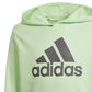 Adidas Big Logo Hoodie Jr IS2591 sweatshirt Clothing/Lifestyle Adidas