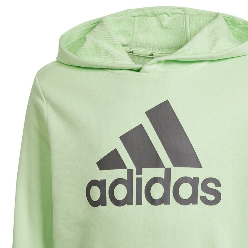 Adidas Big Logo Hoodie Jr IS2591 sweatshirt Clothing/Lifestyle Adidas