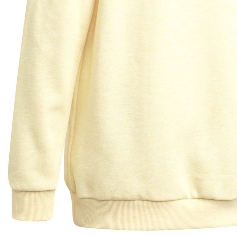 Adidas Badge of Sport Hoodie Jr HN8469 Clothing/Lifestyle Adidas