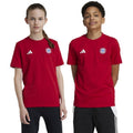 adidas FC Bayern Munich Kids' T-shirt Red IT4138 In preparation Adidas