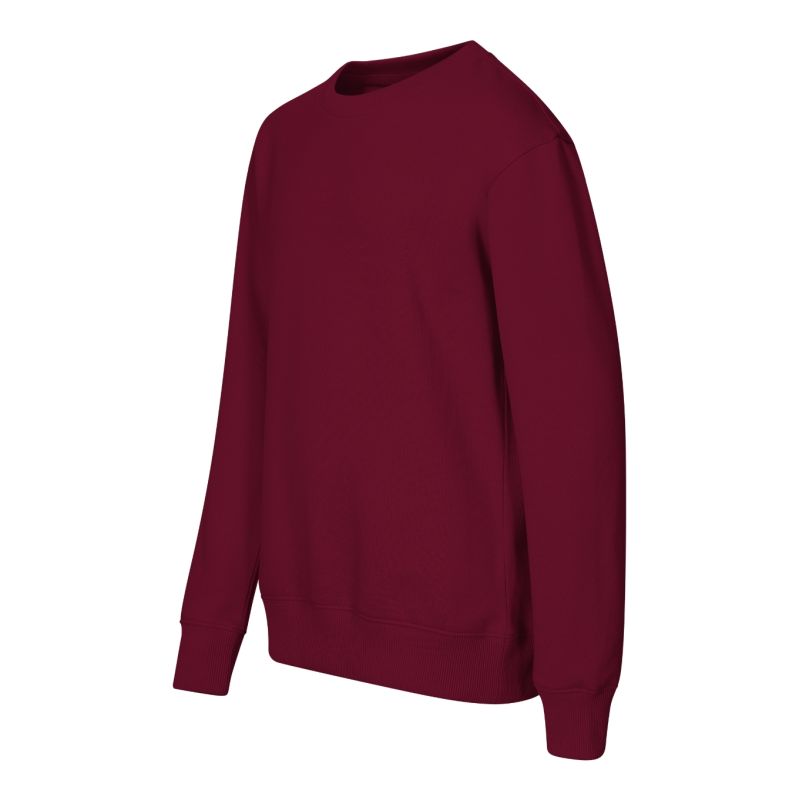 Children's Crew Sweatshirt (garnet) Malfini