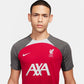 Nike Liverpool FC Strike SS Top M T-shirt FD7084-688 Clothing/Football Nike