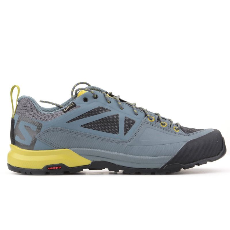 Salomon X Alp SPRY GTX M 401621 shoes Footwear/Outdoor Your Sports Performance