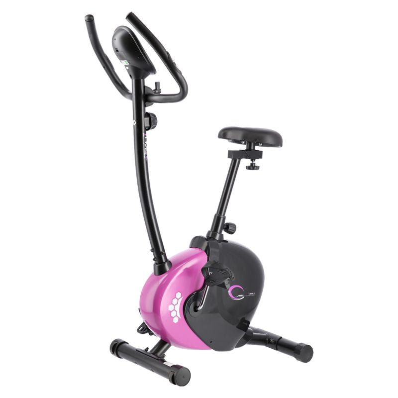 Magnetic bike purple HMS M9239V