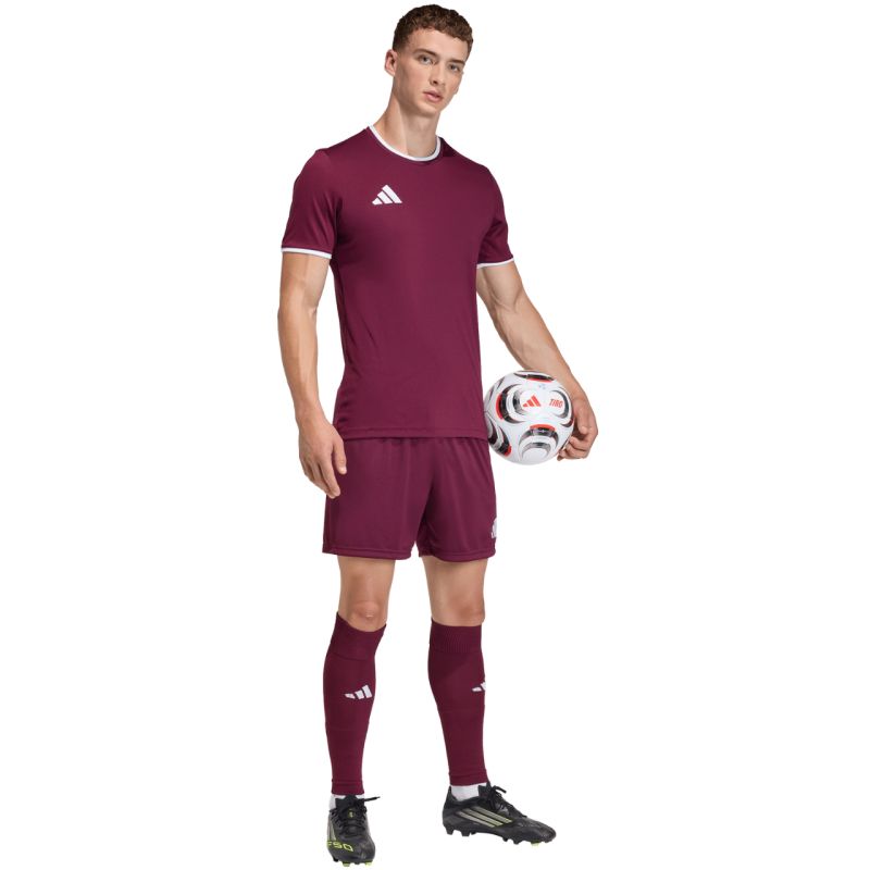 Men's adidas Entrada 26 burgundy shorts JZ2514