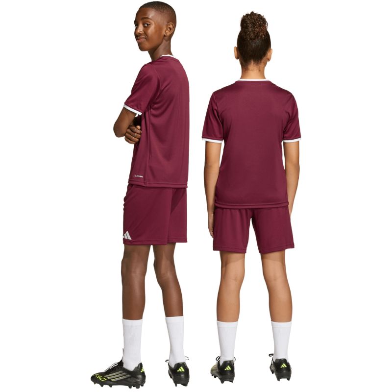 adidas Entrada 26 burgundy kids' shorts JZ6527 To be categorized Your Sports Performance