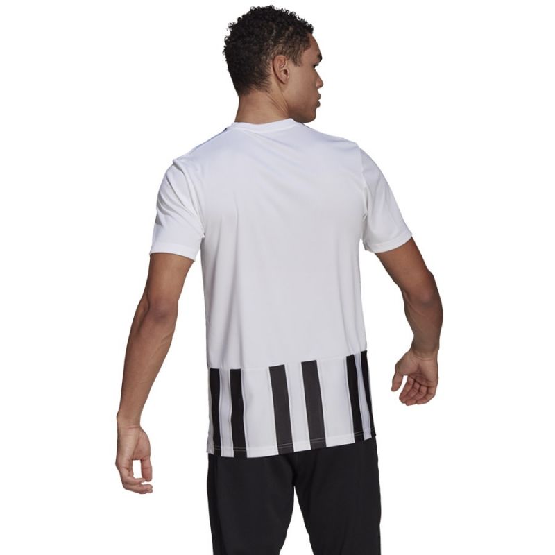 Adidas Striped 21 JSY M GV1377 Tee Clothing/Football Adidas