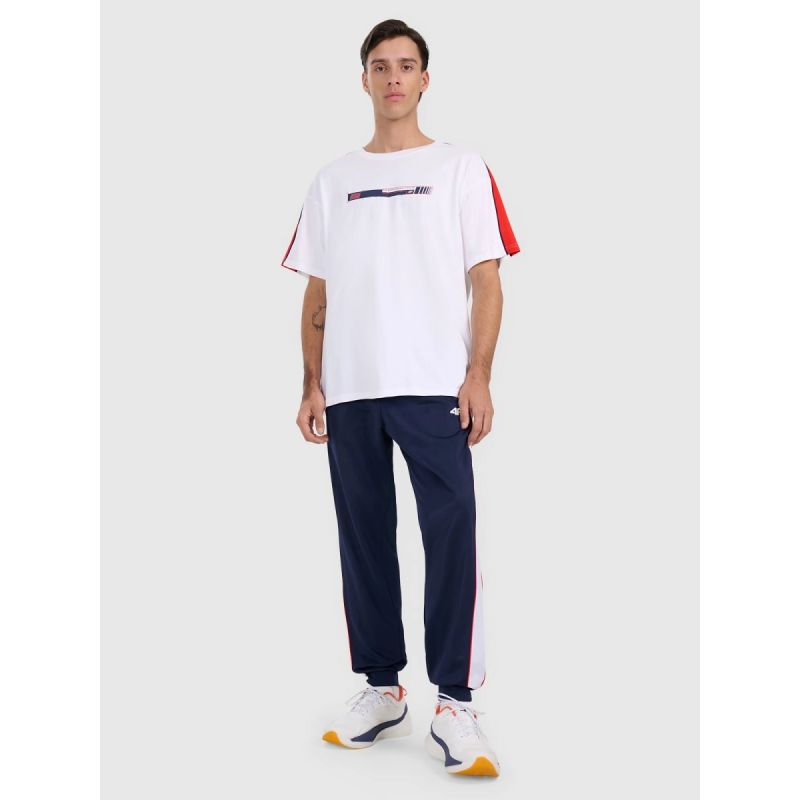 Men's oversize printed T-shirt 4F 4FRAW25TTSHM3227-10S 4f
