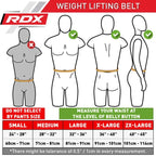 4" GOLD LEATHER BODYBUILDING BELT FOR EXERCISES - RDX S RDX - Pozostałe Your Sports Performance