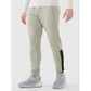 Men's quick-drying training pants 4F 4FWSS25TFTRM0836-44S *Kategoria tymczasowa Your Sports Performance