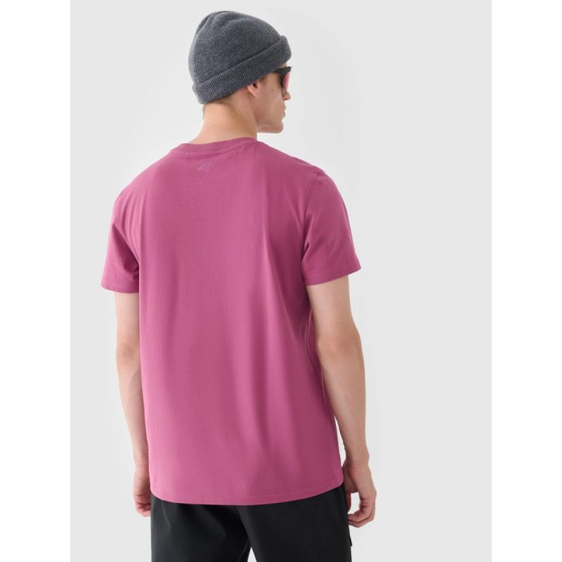 Men's regular plain T-shirt 4F 4FRAW24TTSHM2602-60S 4f