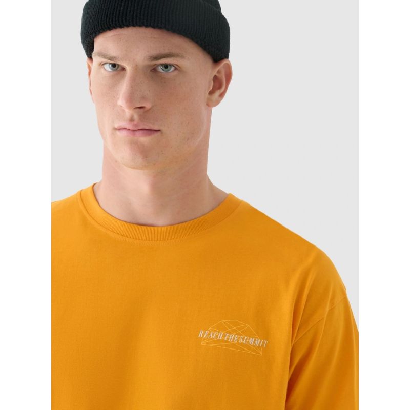 Men's oversized printed T-shirt 4F 4FRAW24TTSHM2578-70S 4f