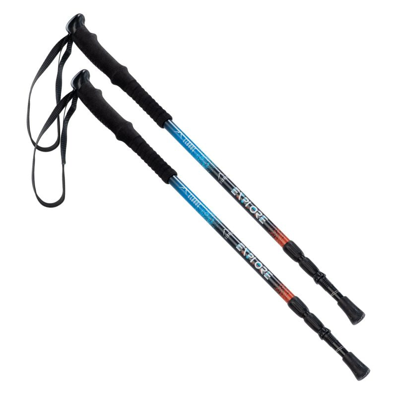 Pokara trekking poles