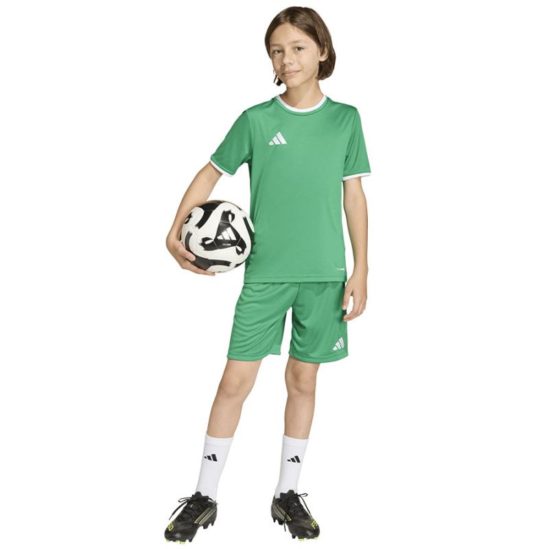 adidas Entrada 26 JZ6530 kids' shorts To be categorized Your Sports Performance