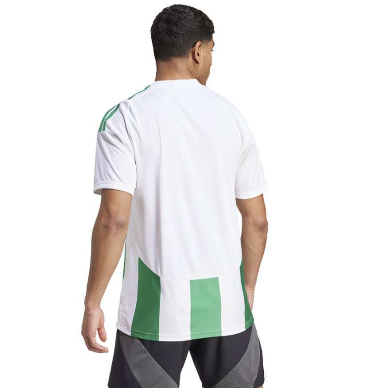 Adidas Striped 24 JSY M T-shirt IW2148 Clothing/Football Adidas
