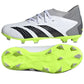Shoes adidas Predator Accuracy.3 FG Jr IE9504 Footwear/Football/Kids Adidas