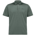Jack Wolfskin Delfami Polo Shirt M 1809801-4311 Clothing/Lifestyle/T-shirts/Jack Wolfskin Your Sports Performance