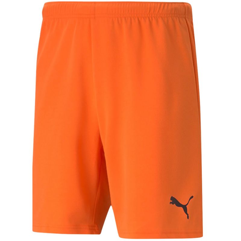 Puma teamRise Short Prist M 704942 08 Clothing/Training Puma