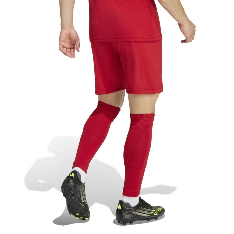 adidas Entrada 26 JZ2517 shorts To be categorized Your Sports Performance