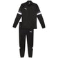 Puma Team Rise M tracksuit 658653 03 Clothing/Training Puma