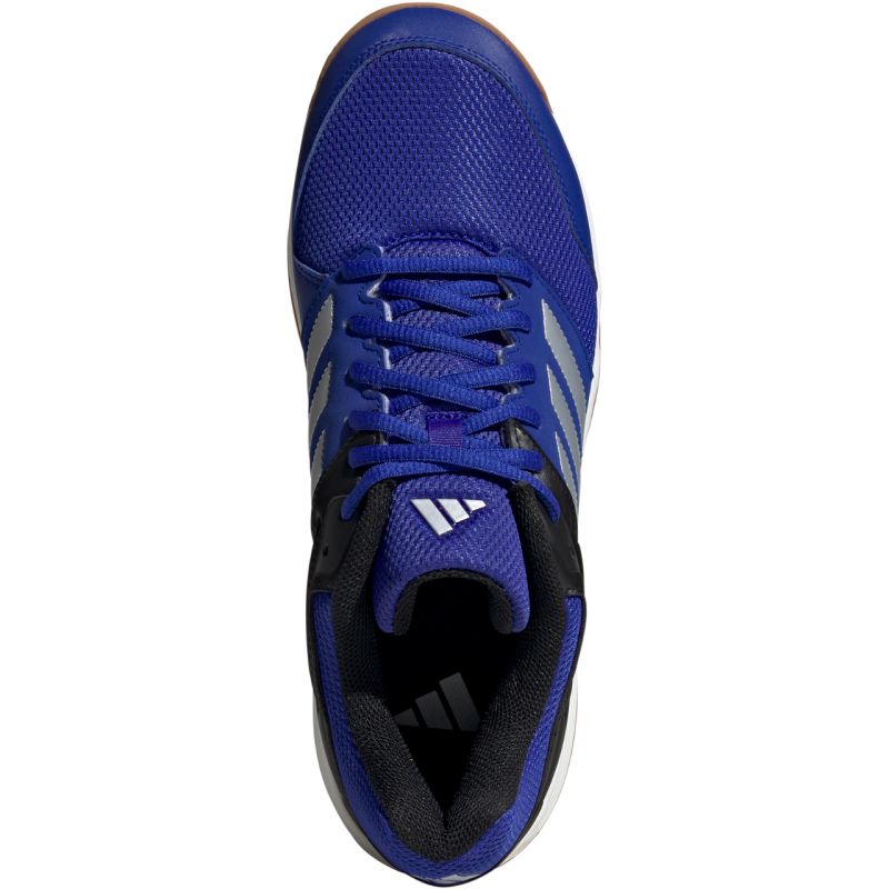 Adidas Speedcourt IN M IH0577 shoes Footwear/Training/Men Adidas