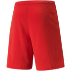 Puma teamRISE Short M 704942 01 Clothing/Running Puma