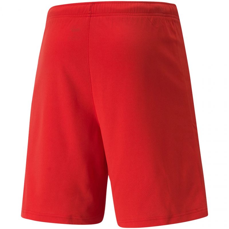 Puma teamRISE Short M 704942 01 Clothing/Running Puma