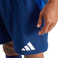 Adidas Tiro 24 Competition Match M shorts IQ4754 Clothing/Football Adidas