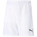 Puma teamRISE Short Jr 704943 03 Clothing/Football Puma