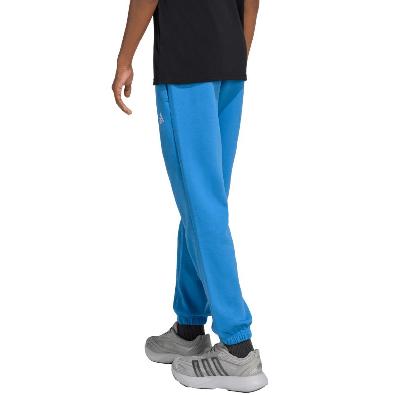 adidas Essentials kids' pants blue KS0379