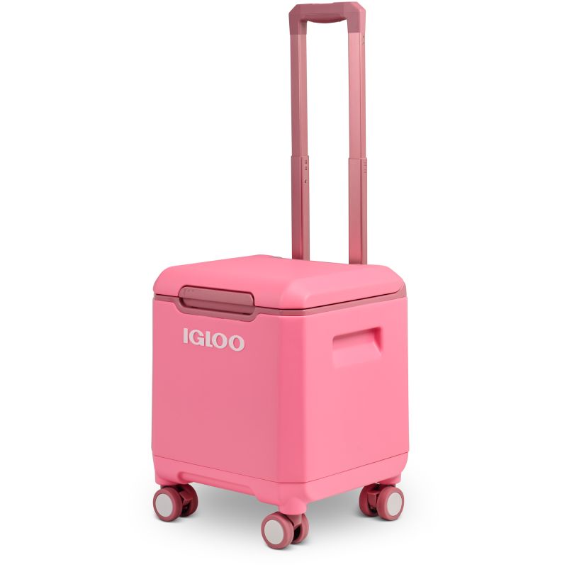 Wheeled Cooler IGLOO Tag Along Too Spinner 360° (19 litres)