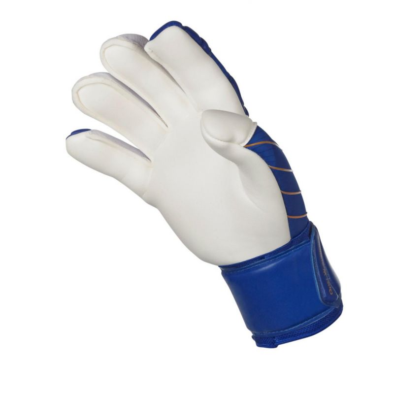 Select 55 Extra Force Goalkeeper Gloves T26-18608 Accessories/Gloves Your Sports Performance
