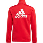 adidas Essentials Big Logo Track Suit Jr IJ6305 Clothing/Training Adidas