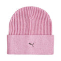 Puma Metal Cat Beanie 024874 05 Clothing/Multisport Puma