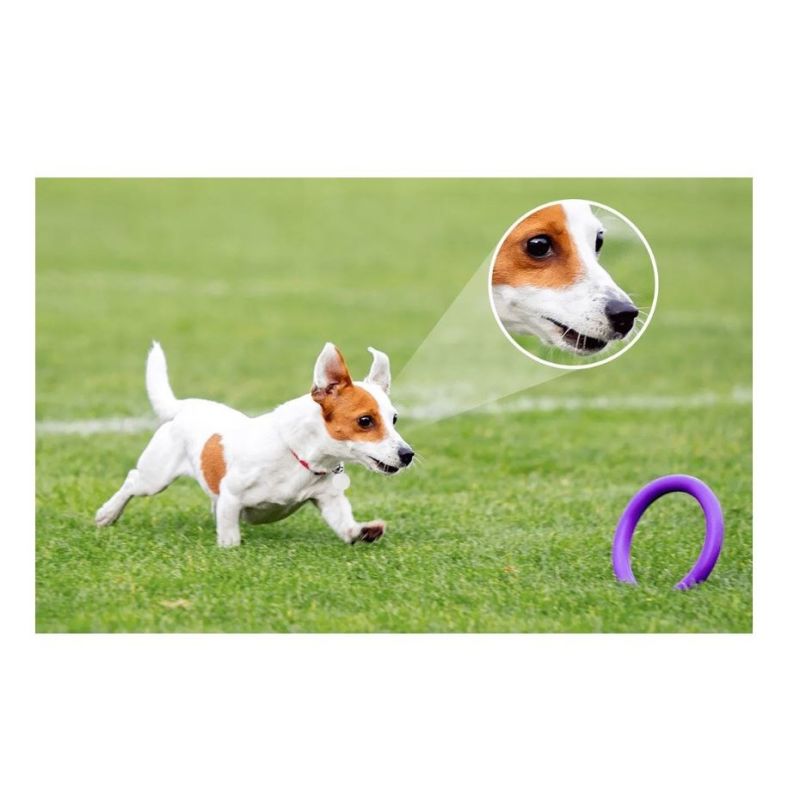 Imou Bulb Cam IPC-S6DP 5MP IP Security Camera CCTV IP/Kamery Your Sports Performance