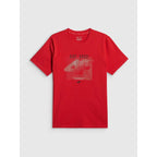 Men's regular printed T-shirt 4F 4FRSS26TTSHM4039-62S