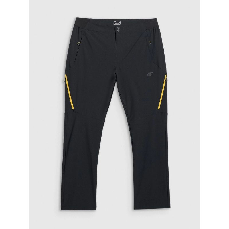 Men's trekking trousers 4F 4FRAW25TFTRM1233-20S 4f