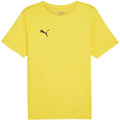 Puma teamRISE Matchday Jersey M 706132 07 Clothing/Football Puma