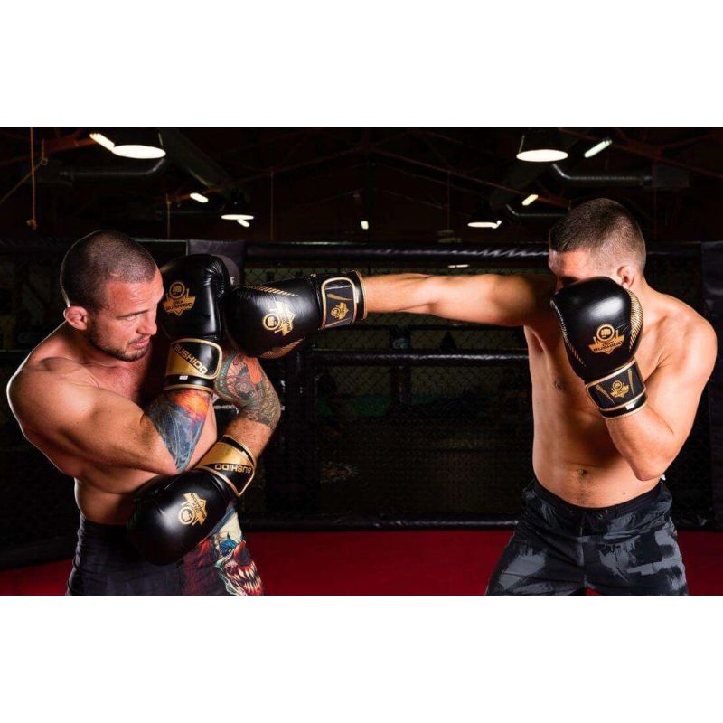 10oz Boxing Gloves - Aureos - Valor Series rękawice treningowe Your Sports Performance