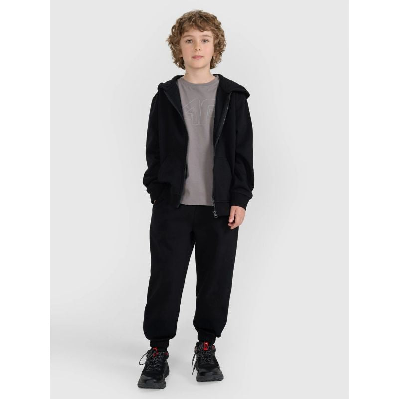 Boy's zip-up sweatshirt with hood 4F 4FJRMM00TSWSM2481-20S *Kategoria tymczasowa Your Sports Performance