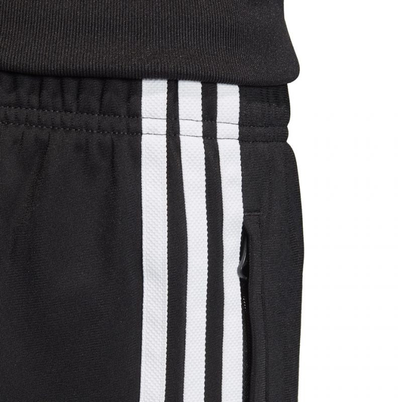 Adidas Superstar Pants Jr DV2879 Clothing/Lifestyle/Trousers, shorts Adidas