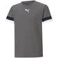 T-shirt Puma teamRise Jersey Jr 704938 13 Clothing/Training Puma
