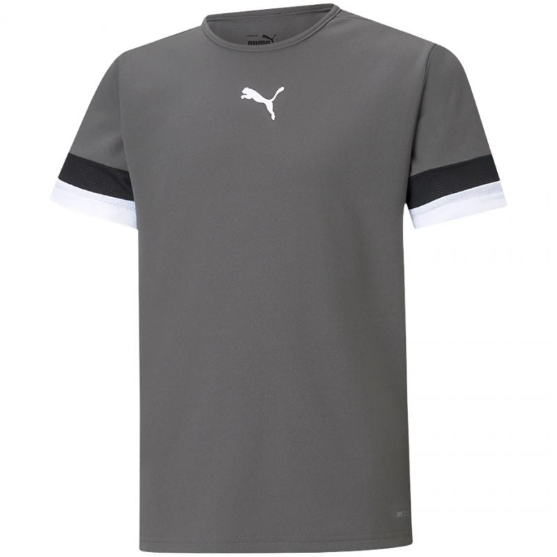 T-shirt Puma teamRise Jersey Jr 704938 13 Clothing/Training Puma