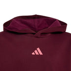 adidas Essentials Hoodie for kids, burgundy KT3380